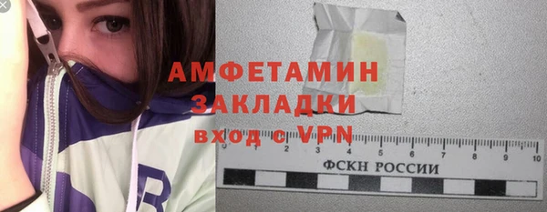 ГАЛЛЮЦИНОГЕННЫЕ ГРИБЫ Богданович