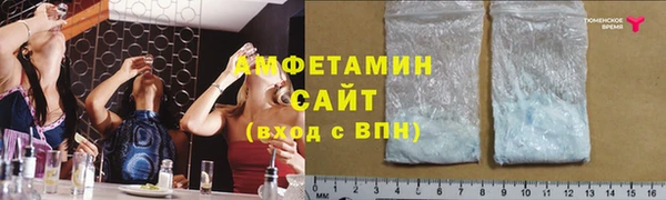 ГАЛЛЮЦИНОГЕННЫЕ ГРИБЫ Богданович