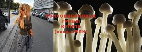 стафф Богородск