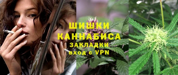 ГАЛЛЮЦИНОГЕННЫЕ ГРИБЫ Богданович