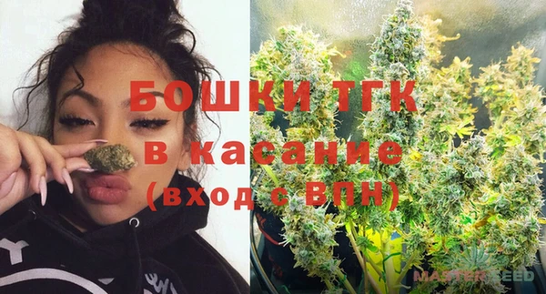 ГАЛЛЮЦИНОГЕННЫЕ ГРИБЫ Богданович