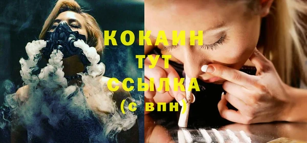 ГАЛЛЮЦИНОГЕННЫЕ ГРИБЫ Богданович