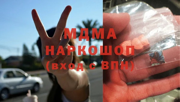 ГАЛЛЮЦИНОГЕННЫЕ ГРИБЫ Богданович