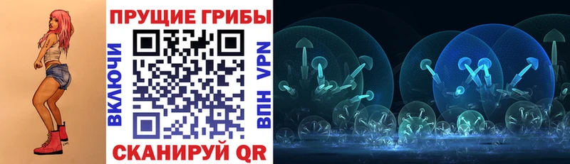 Псилоцибиновые грибы Psilocybine cubensis  хочу   сайты даркнета официальный сайт  Чернушка 